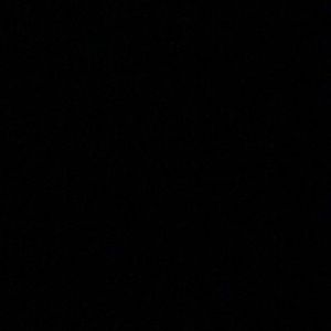 Meet your Posher, Jess